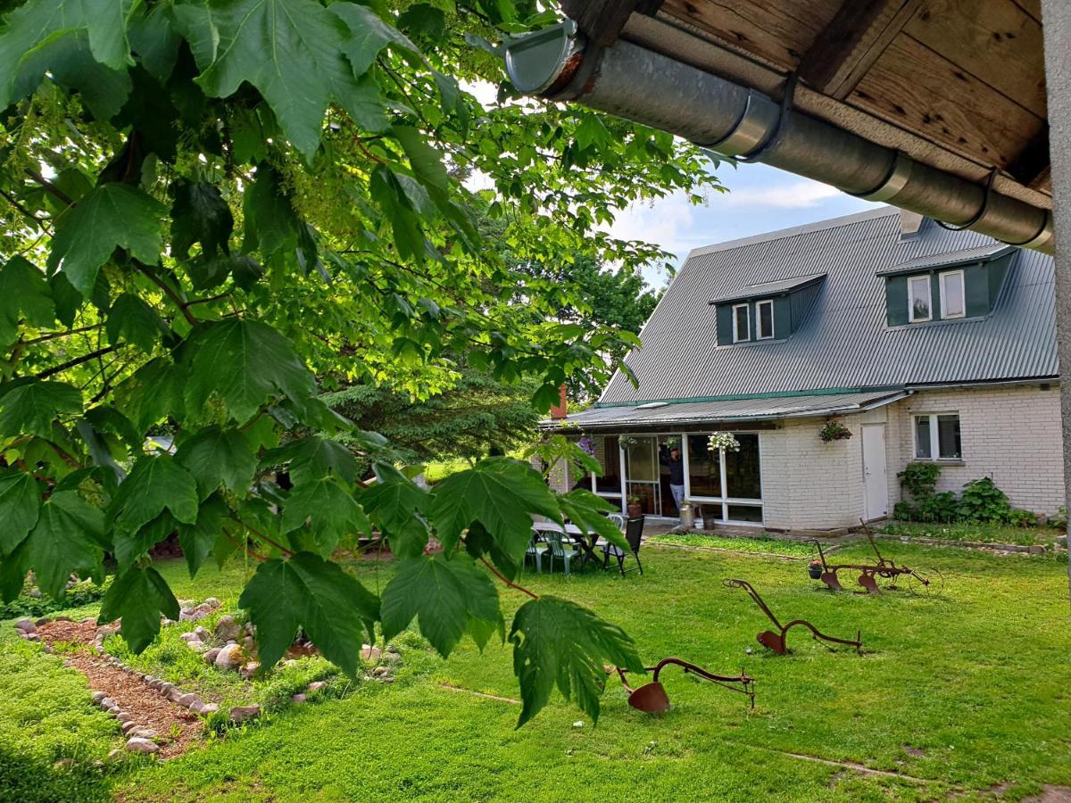 Zielona Samotnia Appartement Czaplinek Buitenkant foto