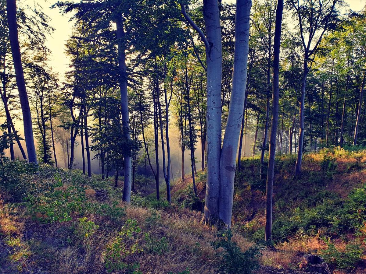 Zielona Samotnia Appartement Czaplinek Buitenkant foto
