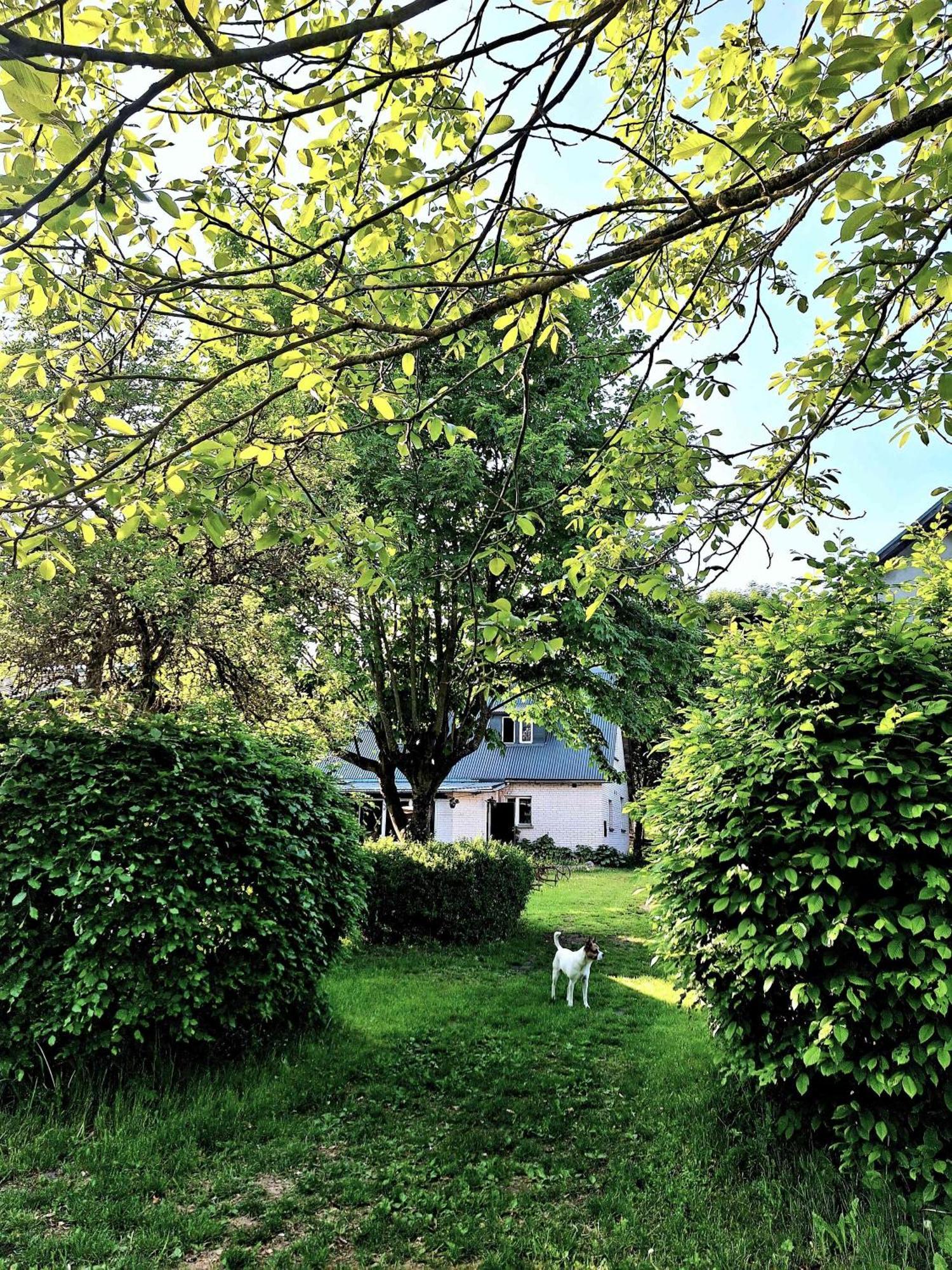 Zielona Samotnia Appartement Czaplinek Buitenkant foto